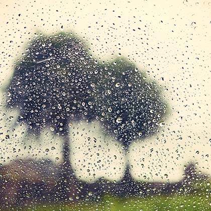 Altas temperaturas pedem cuidado!