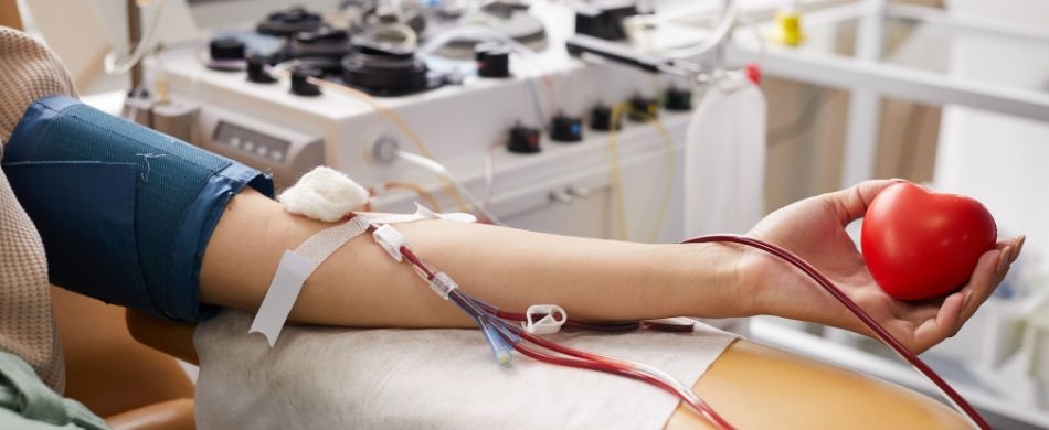 Um gesto de solidariedade: Doe sangue e salve vidas!