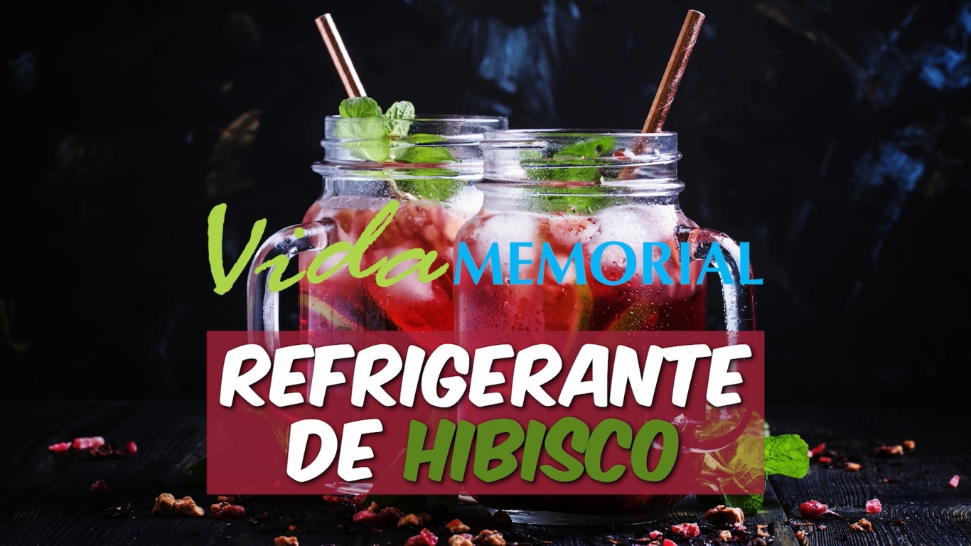 Refrigerante de hibisco