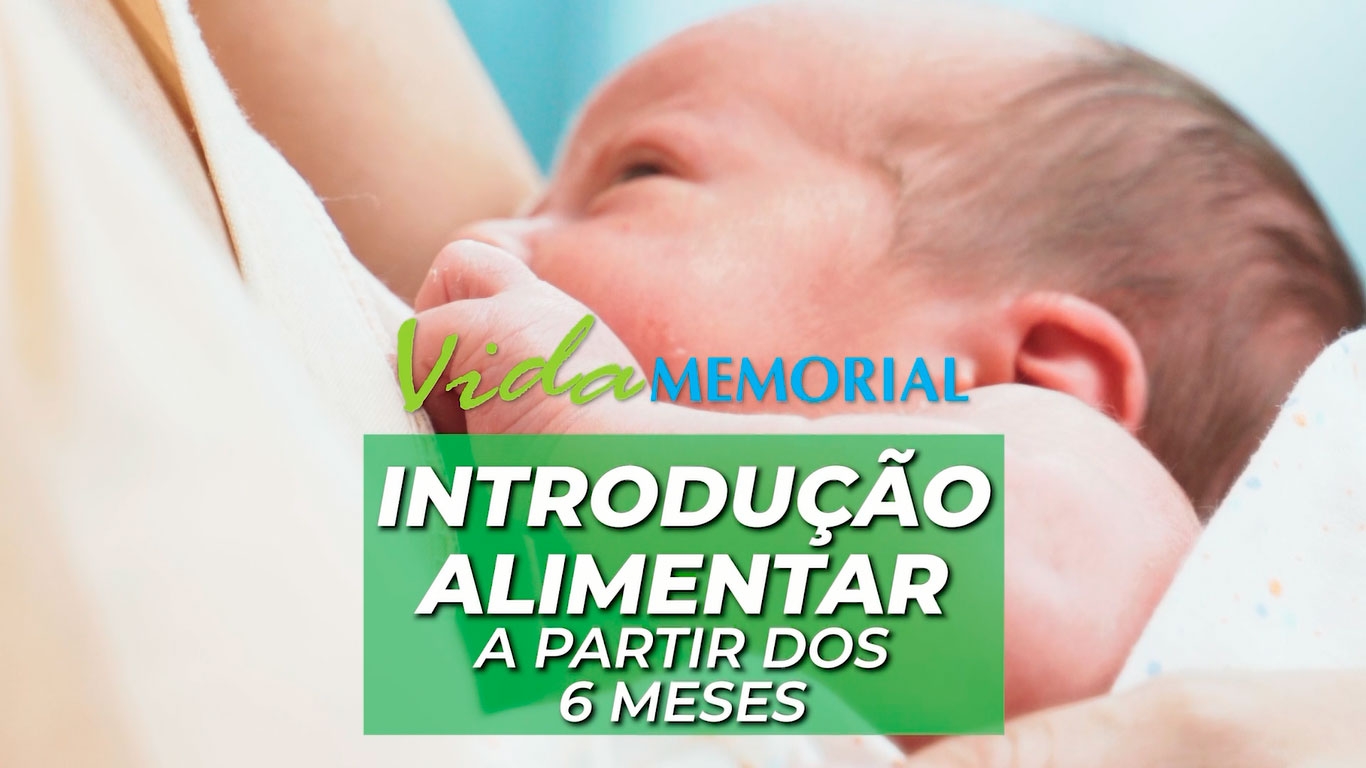 Introdução alimentar a partir dos 6 meses