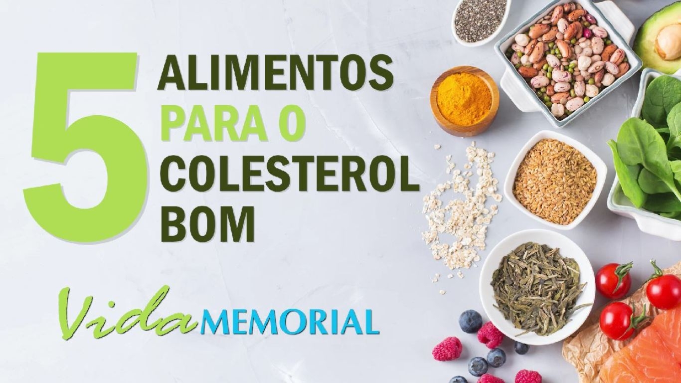 5 alimentos para o colesterol bom