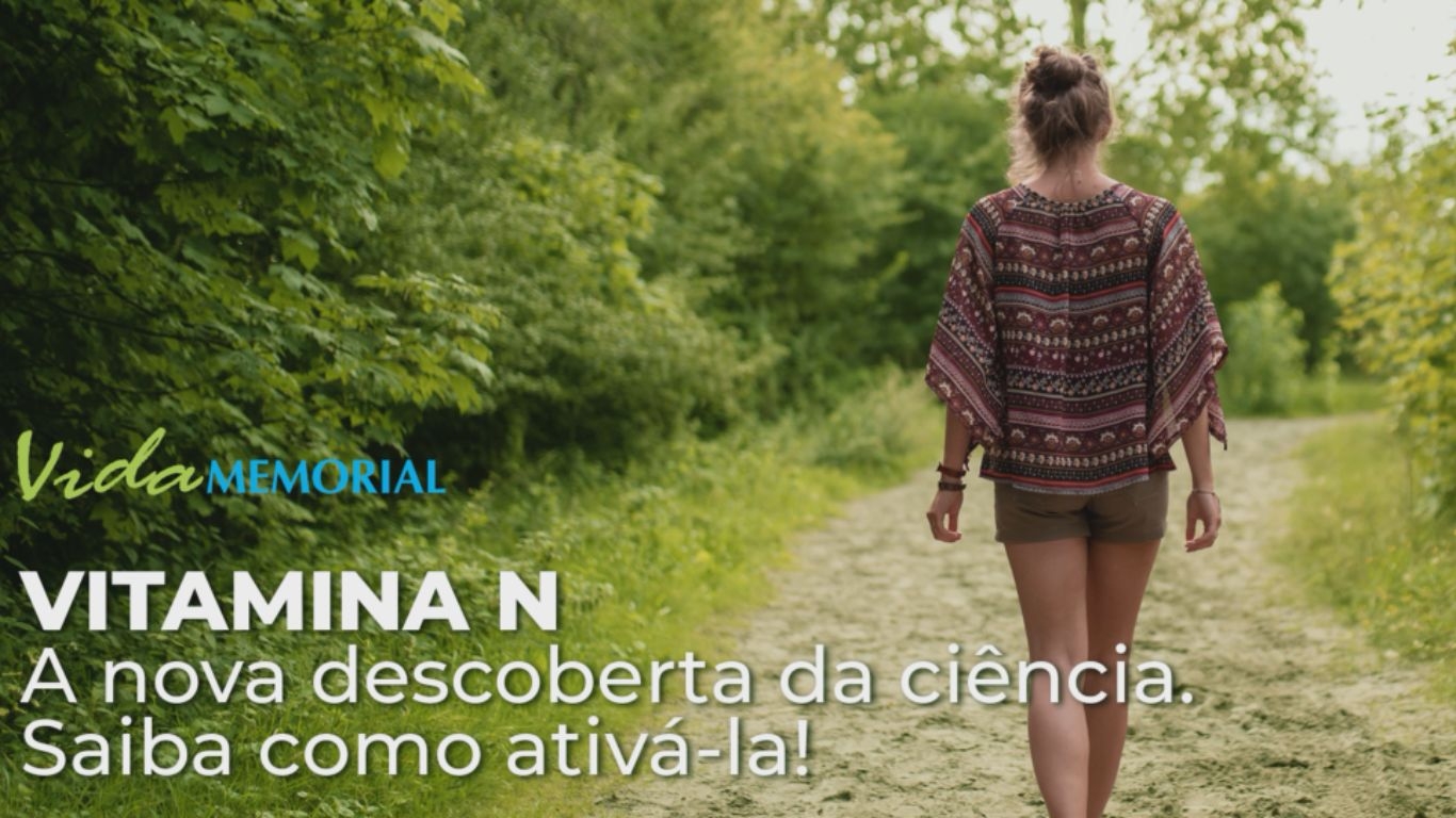 Vitamina N: Saiba como ativá-la!